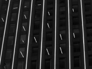 NYC.2014.0090.jpg