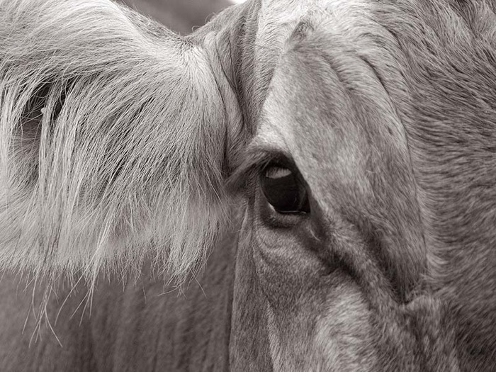 © 2005 Martin Kaegi