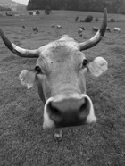 Juni-2011.079.jpg
