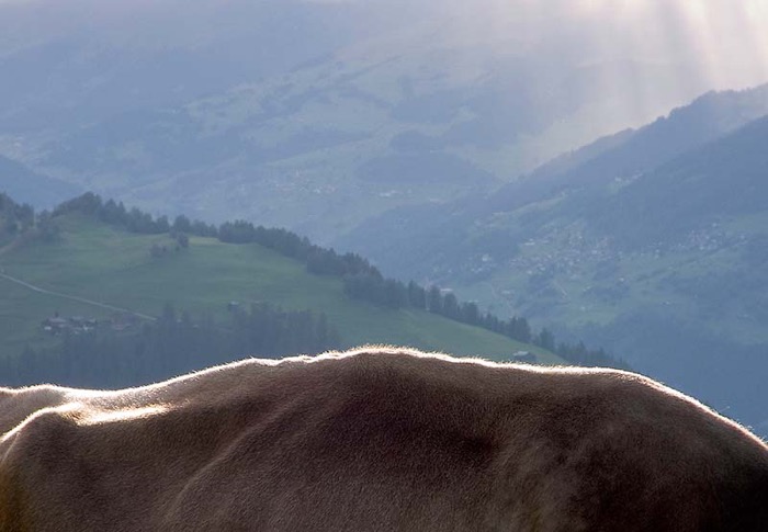 © 2006 Martin Kaegi