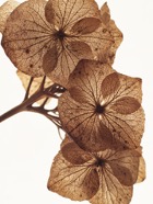 April.21.0094.jpg