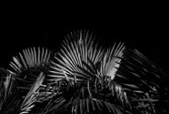 Aug.2018.0069_V3.jpg