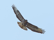April.20.0157.jpg