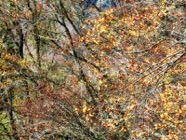 Okt.2014.0335.jpg
