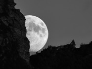 Juli-21.0232-SW.jpg