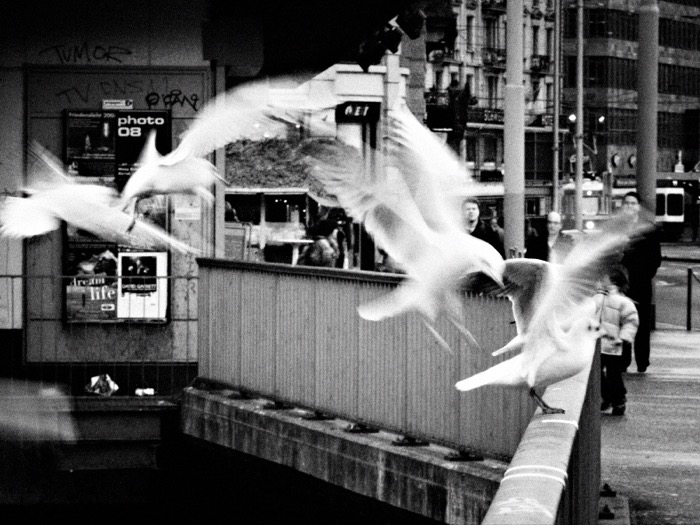 © 2008 Martin Kaegi