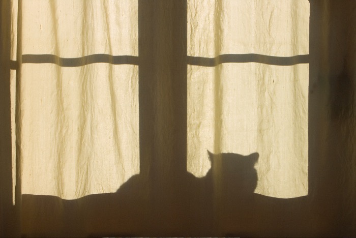 © 2005 Martin Kaegi
