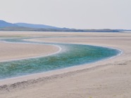 Scotland.2019.0549.jpg