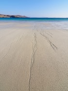 Scotland.2017.1190.jpg