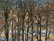 Scotland.2017.0651.jpg