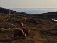 Scotland.2017.1012.jpg