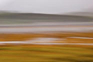 Scotland 2010.0685
