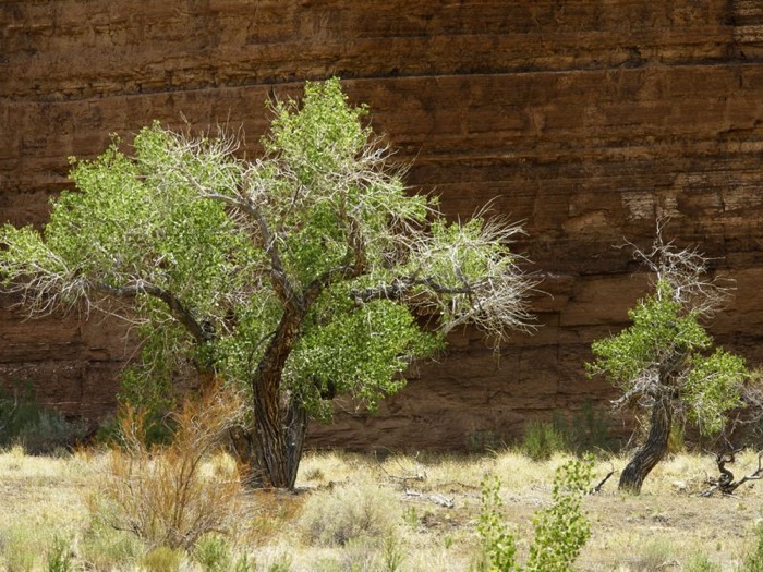 © 2011 Martin Kaegi