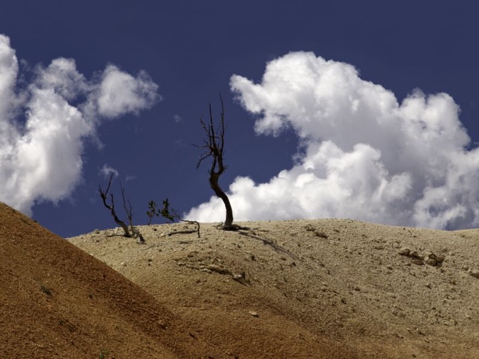 © 2011 Martin Kaegi